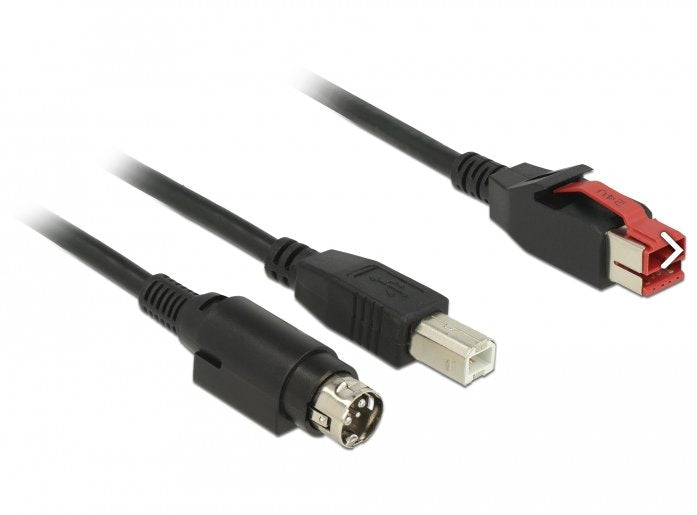 Delock 85488 Poweredusb Cable Macho 24 V > Usb Tipo-B Macho + Hosiden Mini-Din De 3 Pines, Macho De 2 M Para Impresoras Y Terminales De Punto De Venta