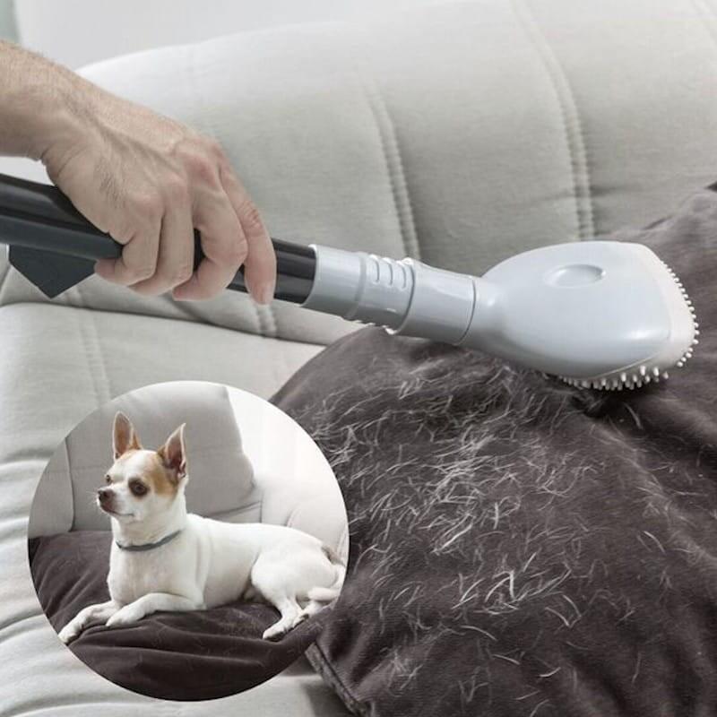 Cepillo Para Aspiradora Especial Mascota Smoovah Innovagoods