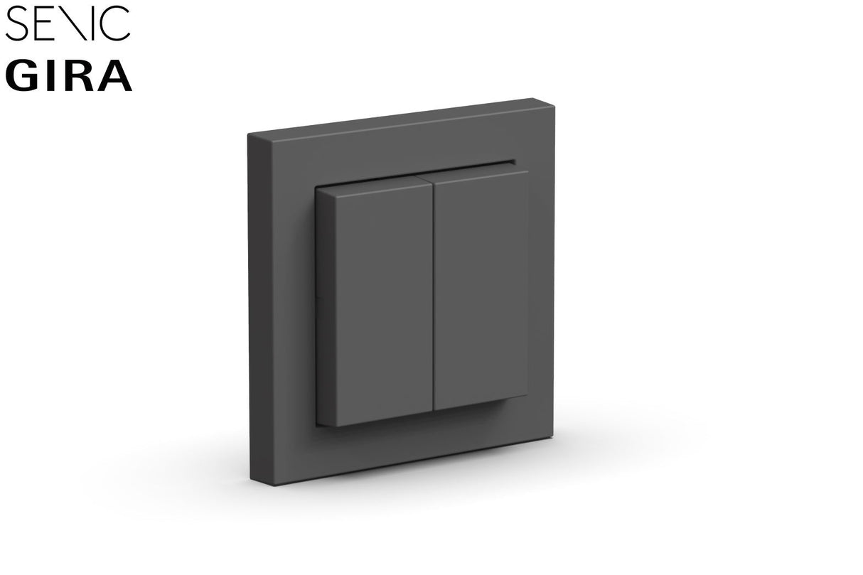 Senic Friends Of Hue Smart Switch, 100156