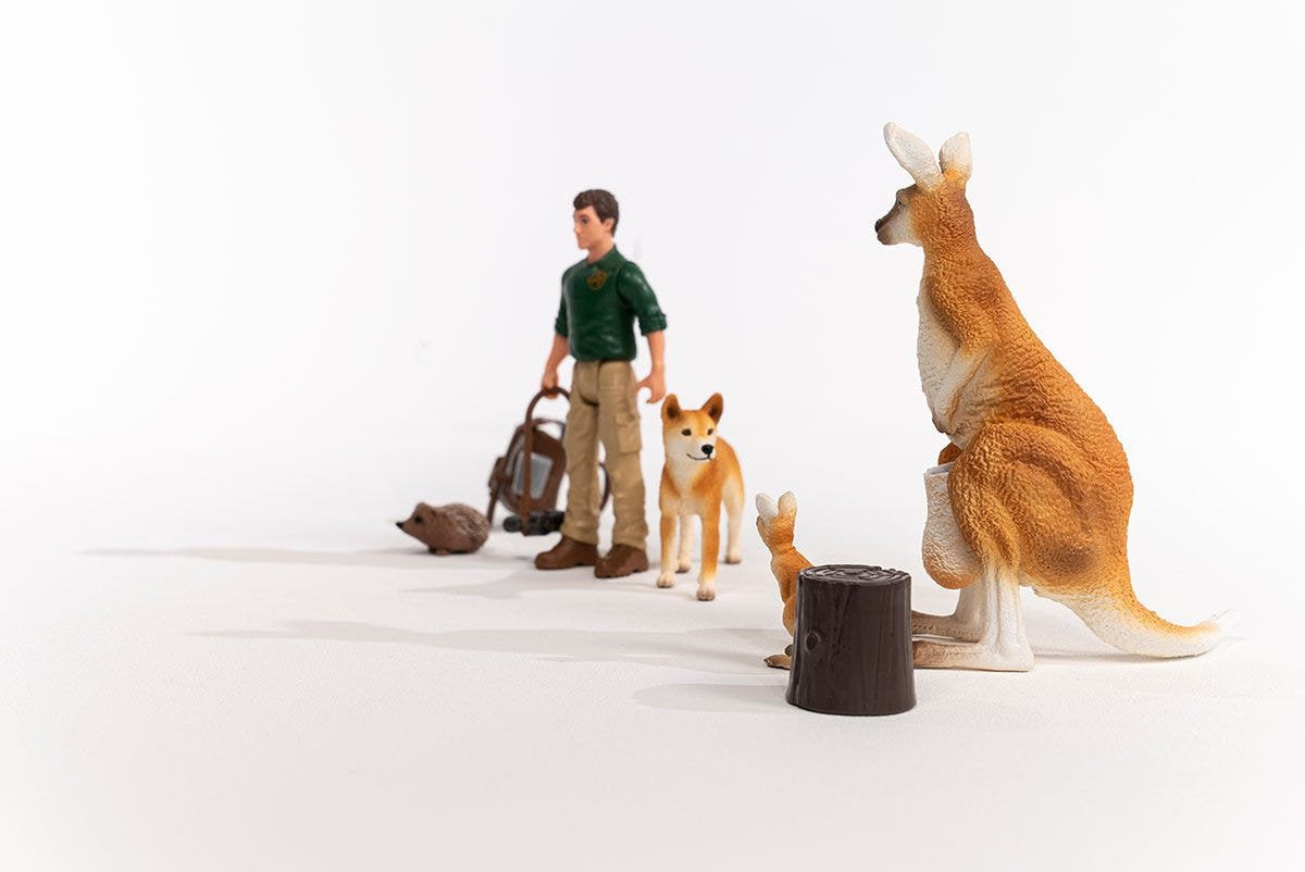 EAN 4059433548562 - schleich Vida Salvaje 42550 set de juguetes imagen 10