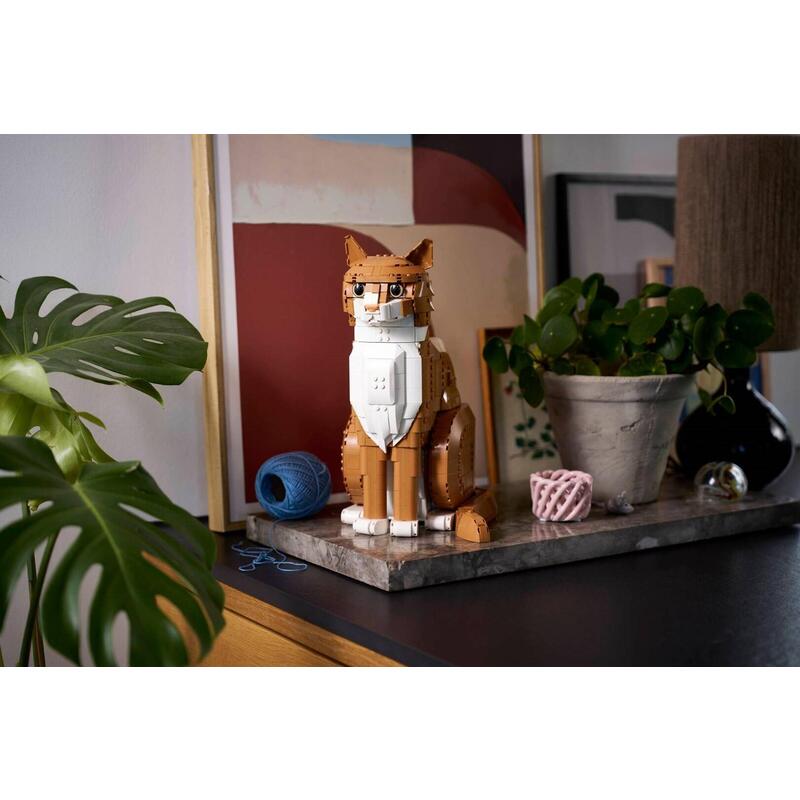 Cideas 21376 Gato Naranja