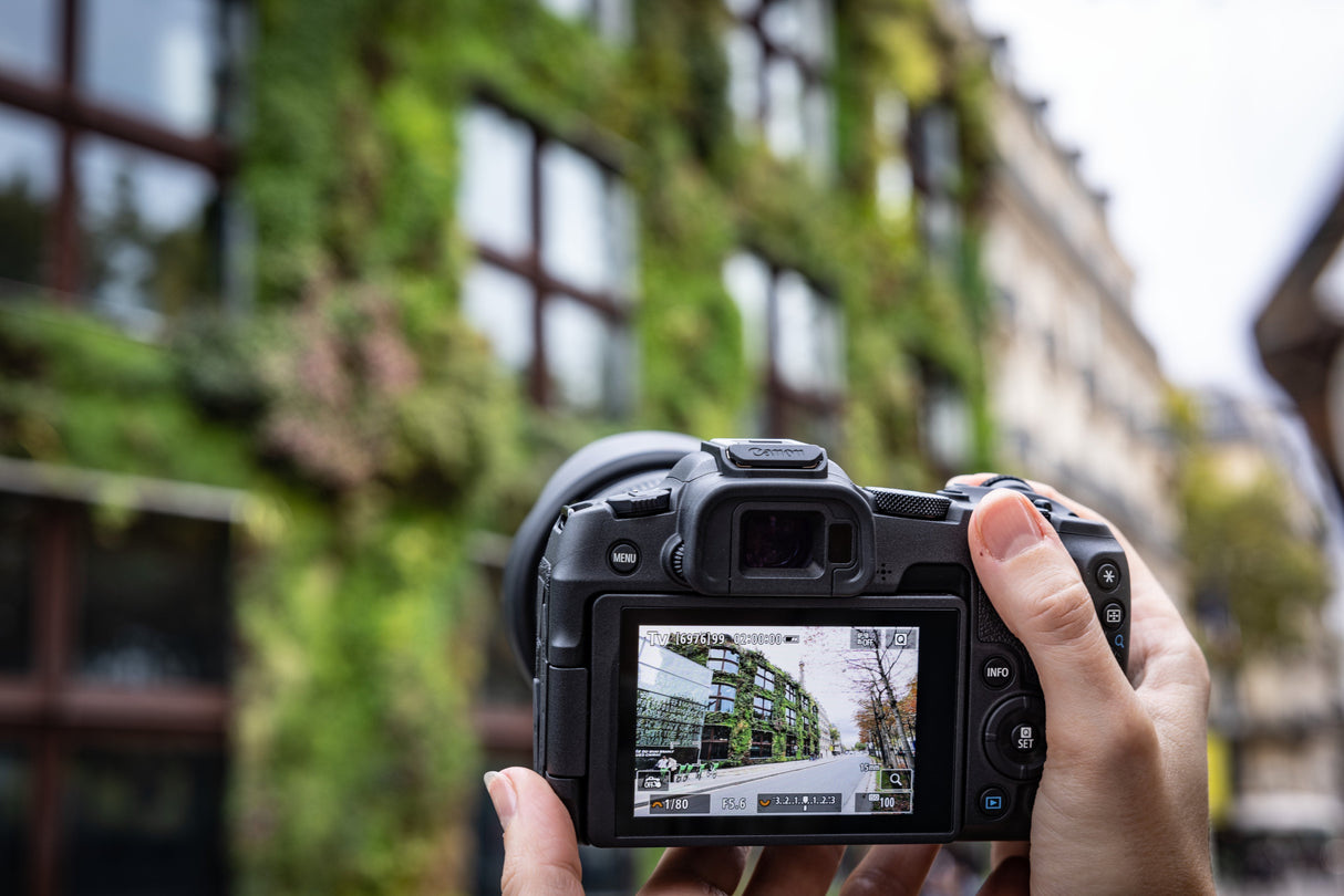 Camara Reflex Canon Eos R8 Cuerpo 24.2mpx Negro