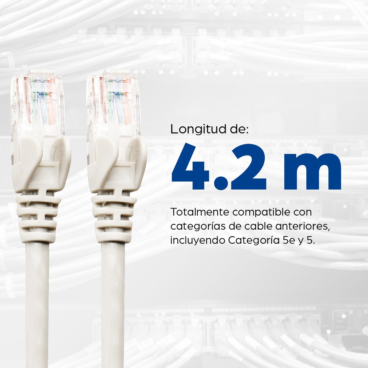 Intellinet Cat6 Utp Cable De Red Blanco 5 M
