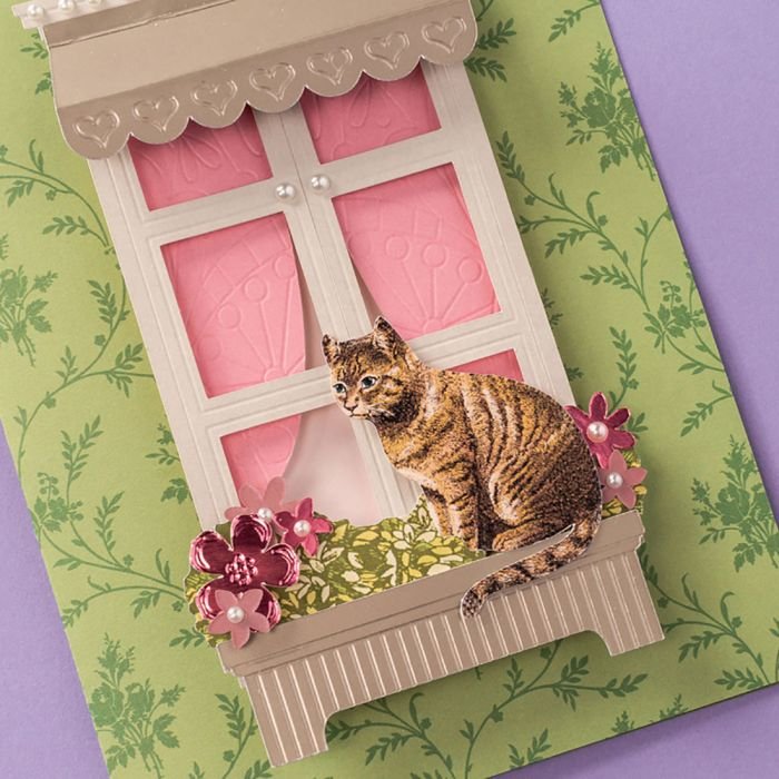 Cricut 2006835 Pieza Y Accesorio Para Máquinas De Corte Para Bricolaje