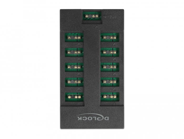 Delock Estación Rgb Para Led Argb Con 10 Puertos