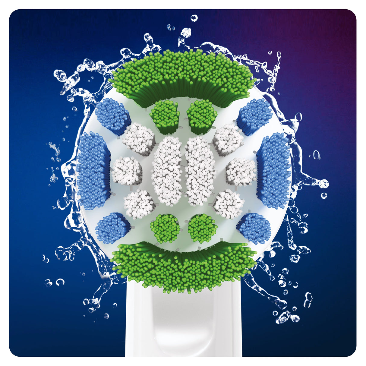 EAN 4210201325253 - Oral-B Precision Clean 80339528 cepillo de cabello 6 pieza(s) Blanco imagen 4