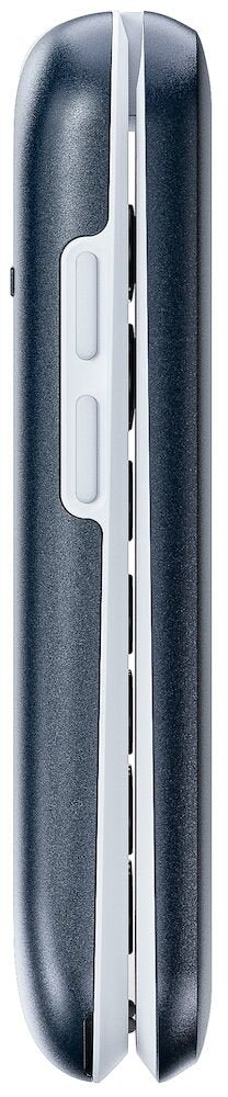 Doro 2820 4g, Grosstastenhandy, Aal (Ohne Netztei)