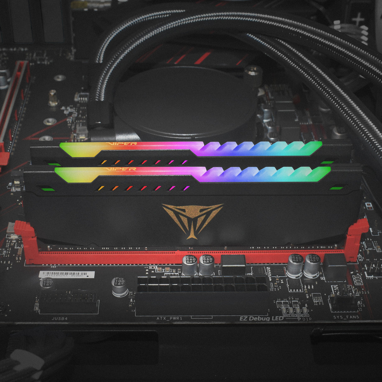 Memoria Ram Patriot Viper Steel Ddr4 64gb 2x32gb 3600mhz Rgb