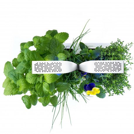 Véritable Classic Selbstversorgender Indoor-Garten