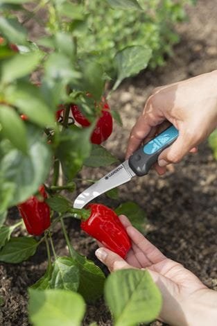 EAN 4066407003163 - Gardena VeggieCut tijeras de podar Negro, Verde imagen 5