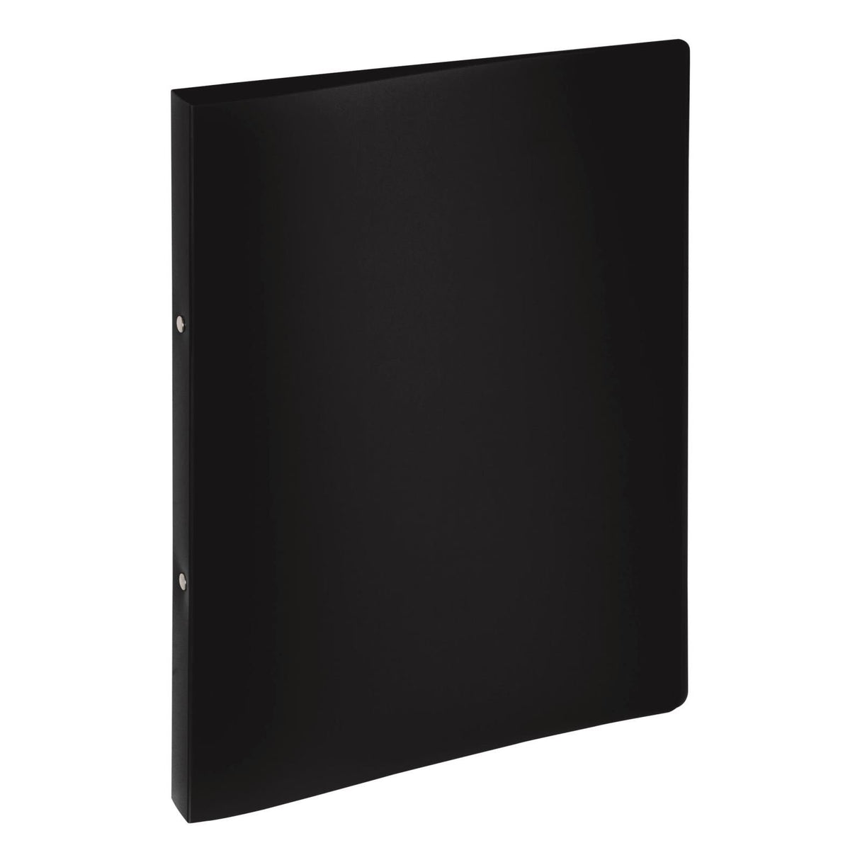 EAN 4009212049186 - Pagna 20901-01 carpeta de cartón A4 Negro imagen 1