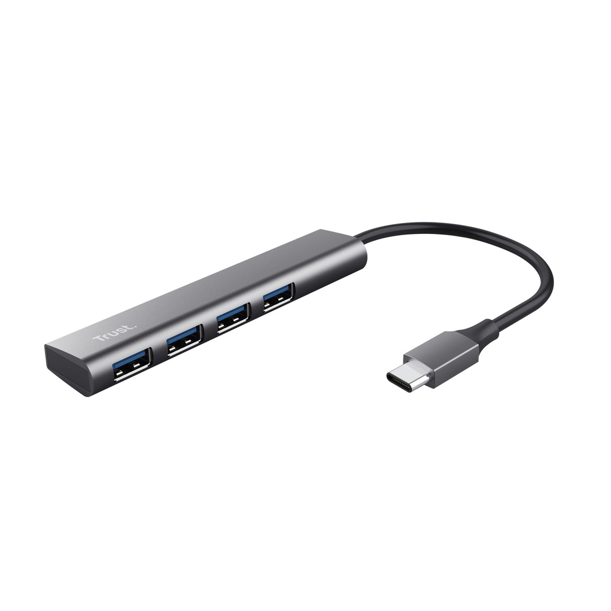 EAN 8713439249484 - Trust Halyx USB 3.2 Gen 1 (3.1 Gen 1) Type-A 5 Mbit/s Gris imagen 1