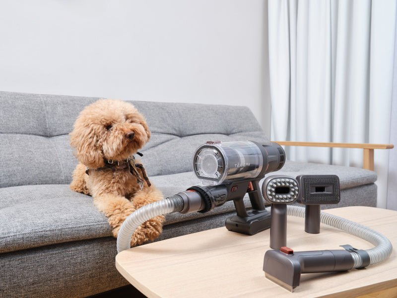 Aspiradora Eta Eta524790000 Terier De Mano, Inalámbrica, Autonomía 80 Min., Depósito De Polvo 0,5 L, Negra