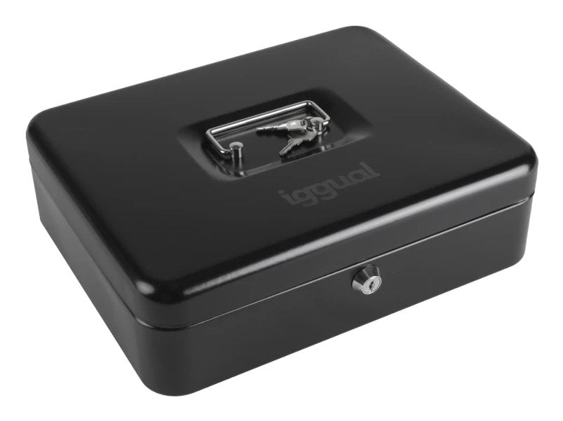 EAN 8435364319536 - iggual Iron-Tiny caja para dinero en efectivo Acrilonitrilo butadieno estireno (ABS), Cloruro de polivini imagen 2