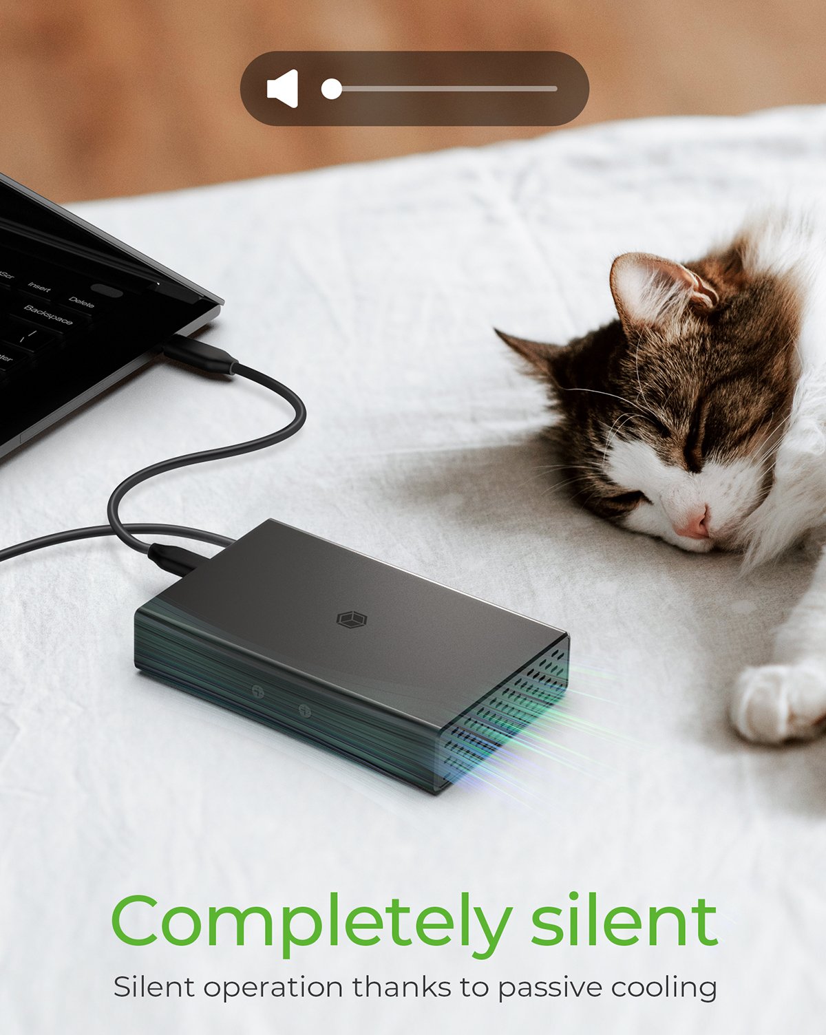 Icy Box Ib-Rd2253-C31 External Raid Enclosure For 2x2.5 Sata I Ii Iii Ssd And Hdd