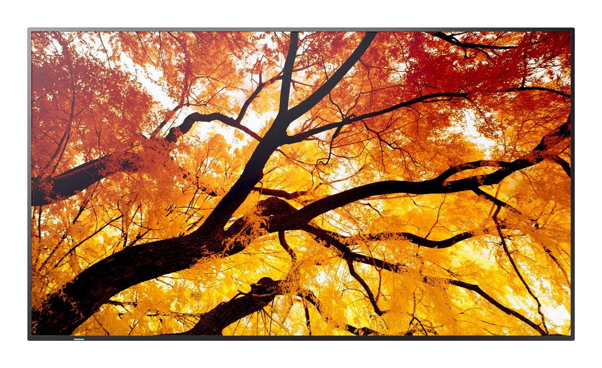 EAN 4550556176682 - Sharp MultiSync M322 Pantalla plana para señalización digital 81,3 cm (32") LCD 550 cd / m² Full HD Negro imagen 1
