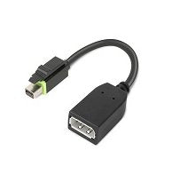 EAN 0192330482981 - Lenovo 4X90Q93975 adaptador de cable de vídeo Mini DisplayPort DisplayPort Negro imagen 1