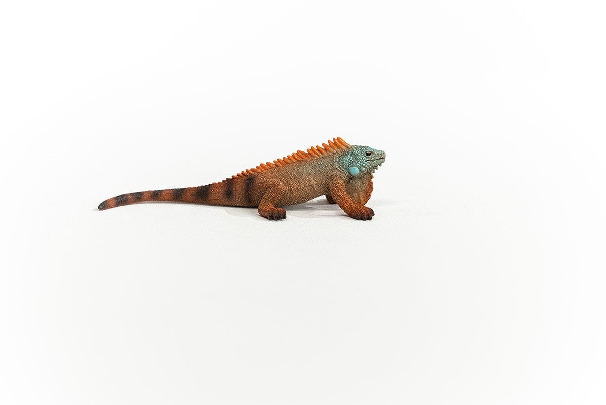 Schleich Iguana Vida Salvaje 14854