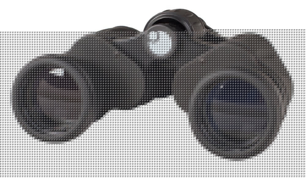 EAN 0611901509624 - Levenhuk Atom 8x40 binocular BK-7 Porro Negro imagen 6