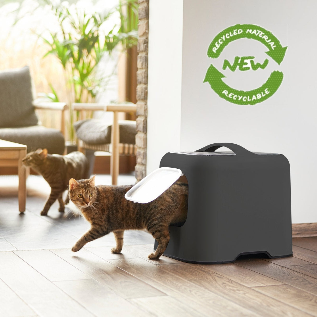 EAN 7610859245038 - Rotho BIALA Gato Caja de arena con cubierta Negro, Gris imagen 2
