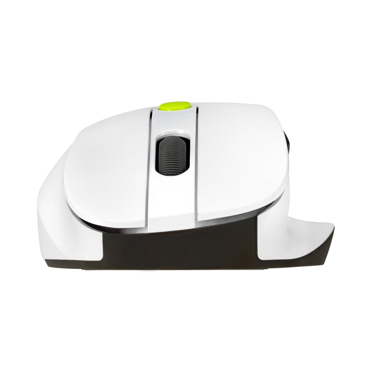 Raton Asus Md105 Wireless 2400dpi Volt Verde