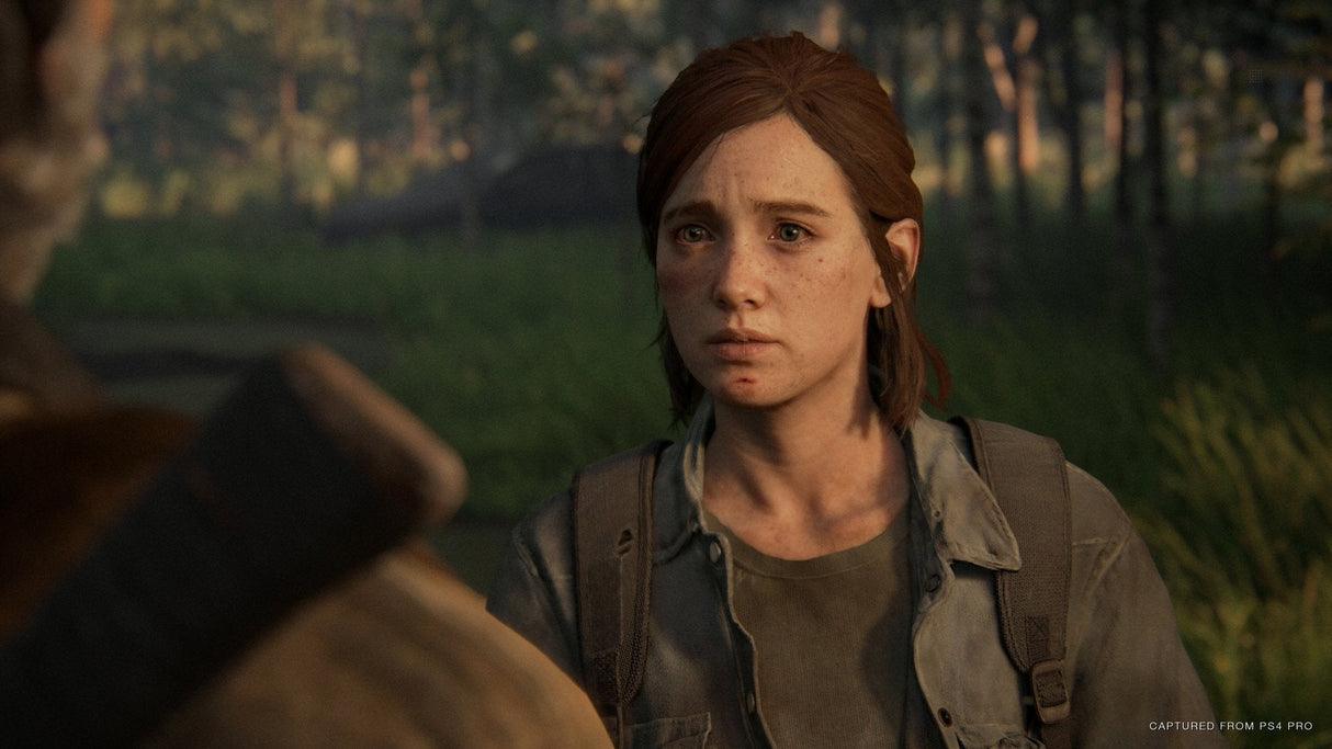 Videojuego Para Ps4 The Last Of Us Parte 2