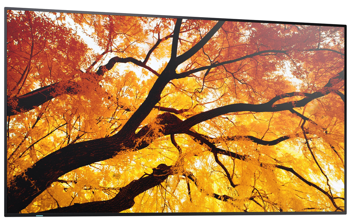 Sharp Multisync M552 Pantalla Plana Para Señalización Digital 139,7 Cm (55") Lcd 550 Cd / M² 4k Ultra Hd Negro Pantalla Táctil