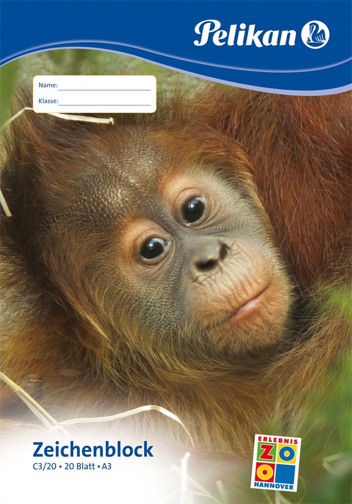 Bloc De Dibujo Pelikan A3 20 Hojas C3 / 20 Fsc Mix