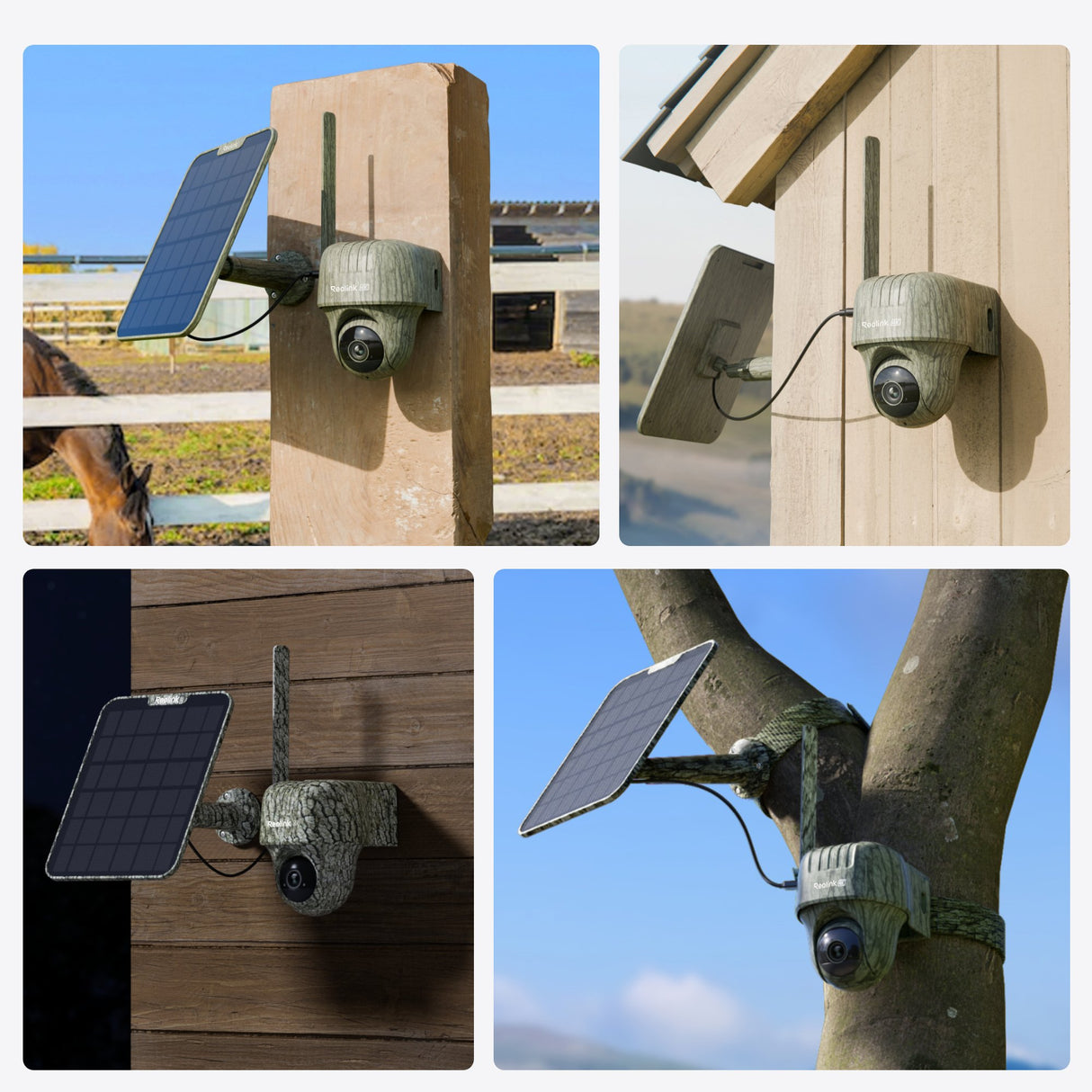 EAN 6975253983902 - Reolink Go Series G450 + Solar Panel 2 Almohadilla Cámara de seguridad IP Exterior 3840 x 2160 Pixeles Te imagen 3