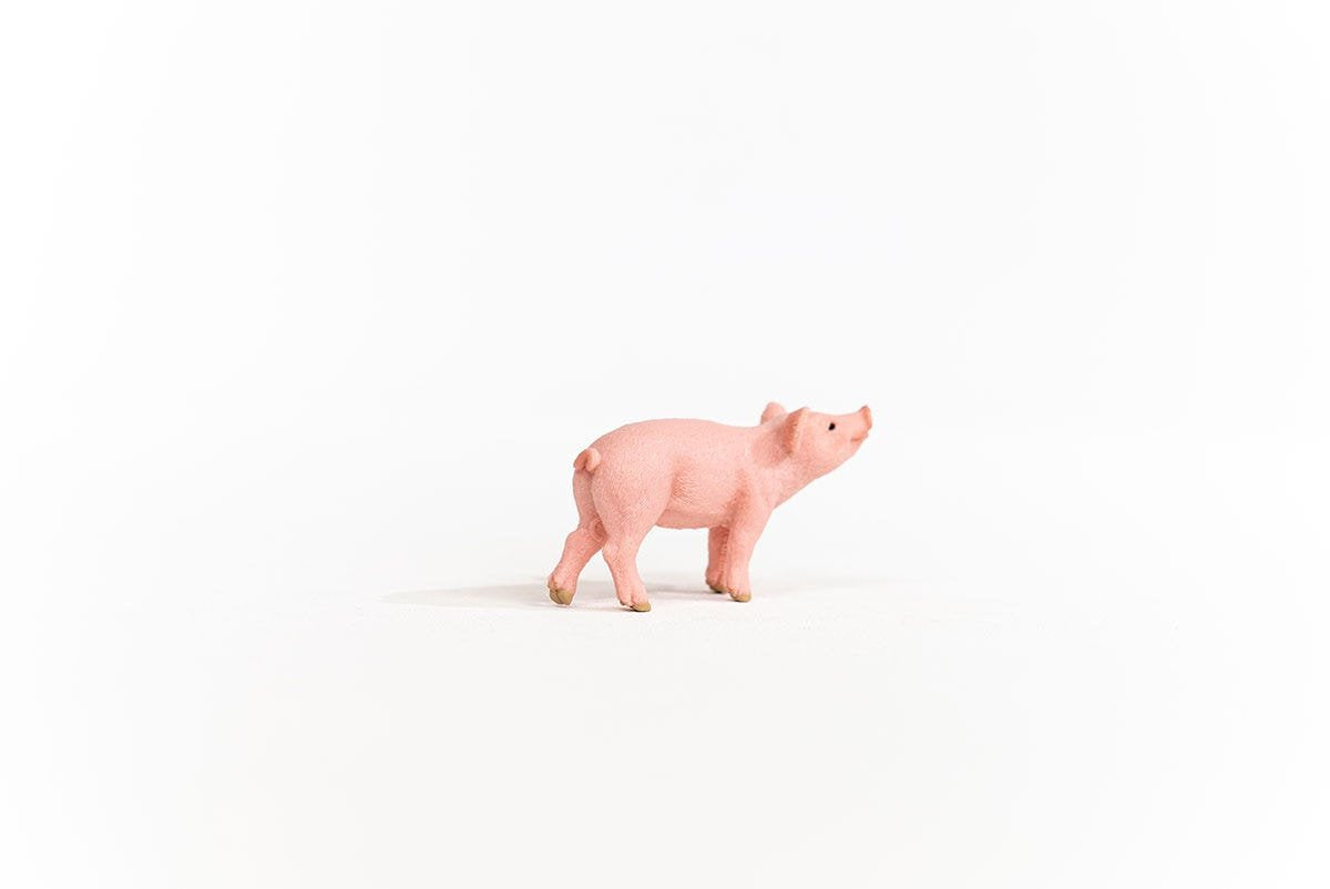 EAN 4059433358628 - schleich FARM WORLD 13934 figura de juguete para niños imagen 4