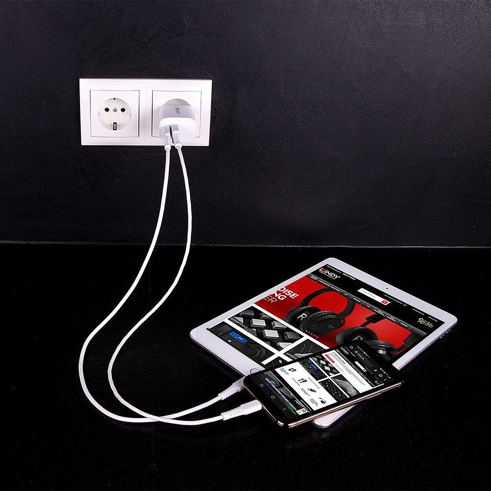 Lindy 73413 Cargador De Pared Usb Typ A & C 20w, Blanco