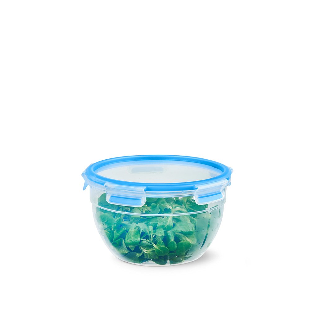 EAN 4009049532196 - EMSA CLIP & CLOSE N10116 Alrededor Contenedor 2,6 L Azul, Transparente 2 pieza(s) imagen 4