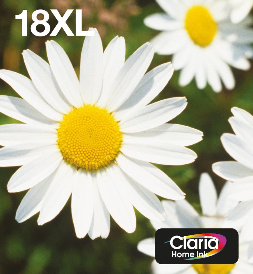 Epson Daisy Multipack 4-Colours 18xl Easymail
