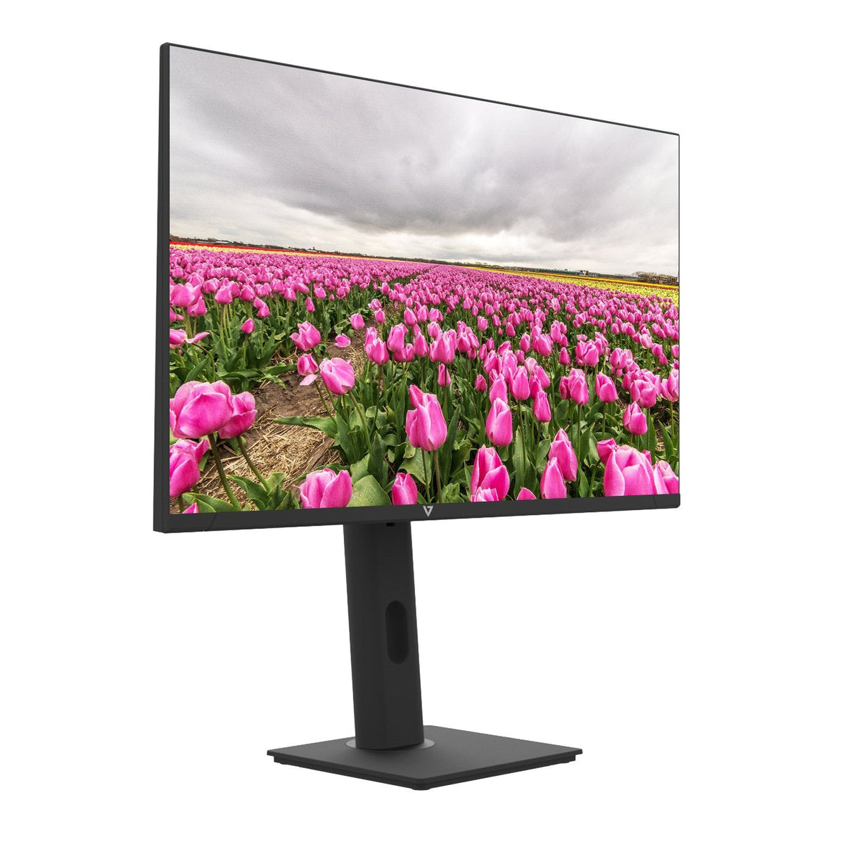 Monitor  23.8 In Ht Adjust Hdmi  Mntr