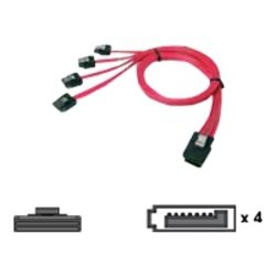 EAN 5711045139826 - Chenbro SAS - Serial ATA cable de SATA 0,6 m Rojo imagen 1
