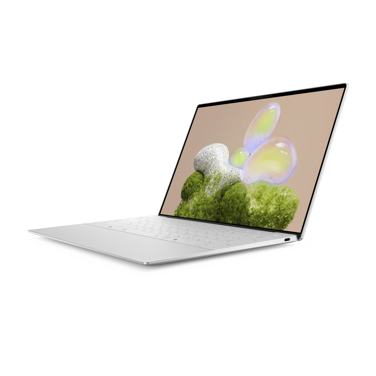 EAN 5397184928974 - DELL XPS 13 9350 Copilot+ PC Intel Core Ultra 7 258V Portátil 34 cm (13.4") Full HD+ 32 GB LPDDR5x-SDRAM imagen 3