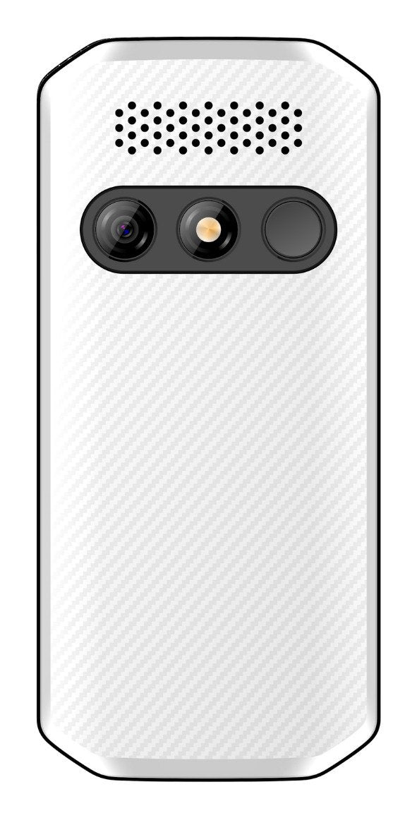 Beafon Sl290pro Lte - 4g, Plateado Line, Móvil Con Teclas Grandes, Negro-Blanco