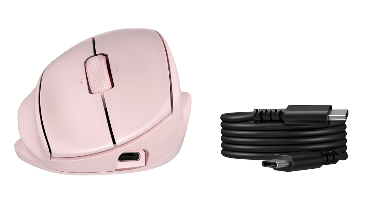 Tilt Ergonomic 725m Tilt Ergonomic 725m Euro Mouse