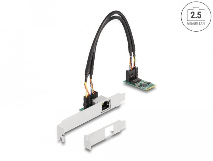 Delock Convertidor M.2 Key B+M 1 X Rj45 2,5 Gigabit Lan