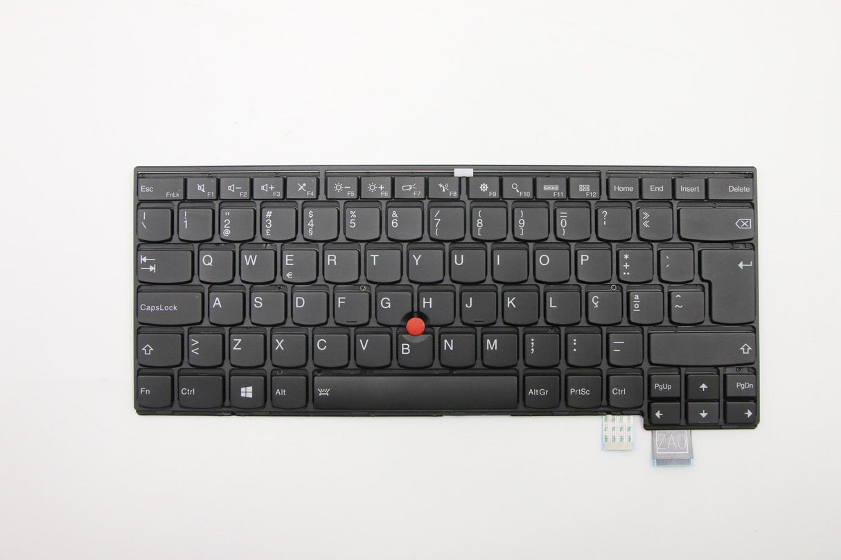 Thorpe Kbd Portuguese Darf