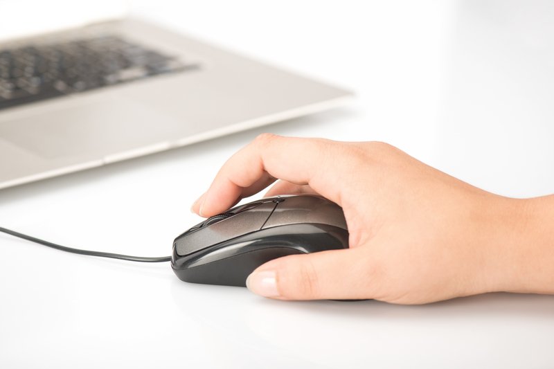 Ednet 81046 Ratón Usb Tipo A Óptico 800 Dpi Ambidextro