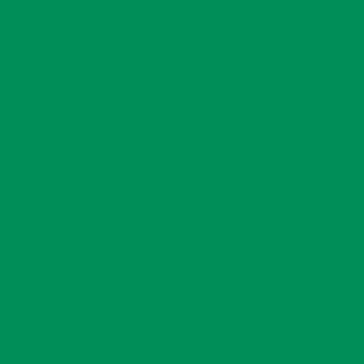 EAN 93573939907 - Cricut Premium Permanent Rollo de vinilo de termotransferencia imagen 2