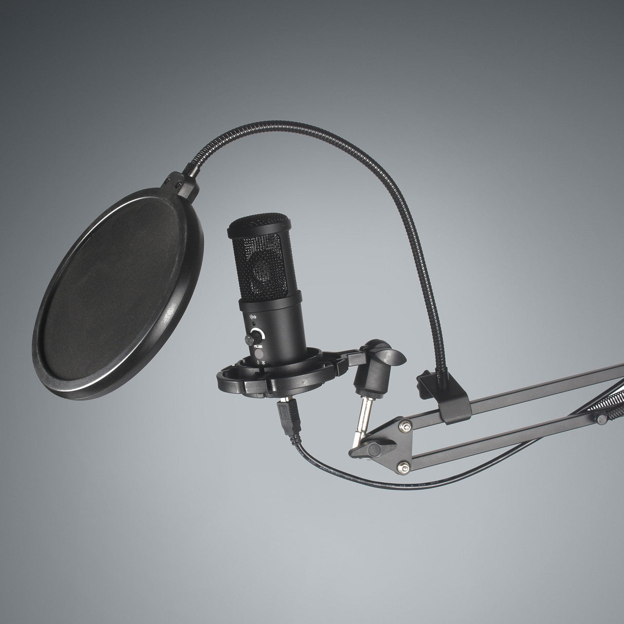 Easypix 62021 Micrófono Negro De Estudio