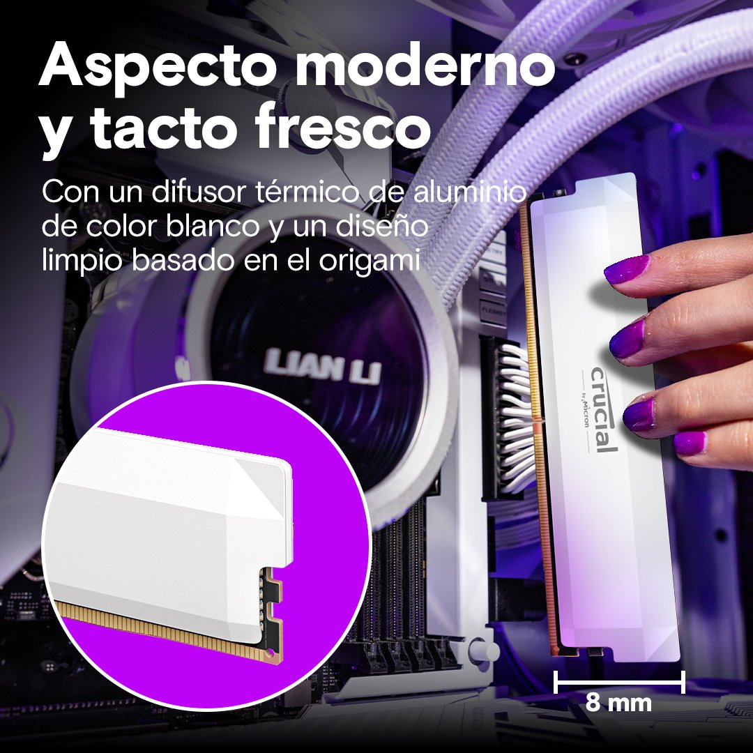 EAN 0649528947000 - Crucial Pro CP2K32G60C40U5W módulo de memoria 64 GB 2 x 32 GB DDR5 imagen 5