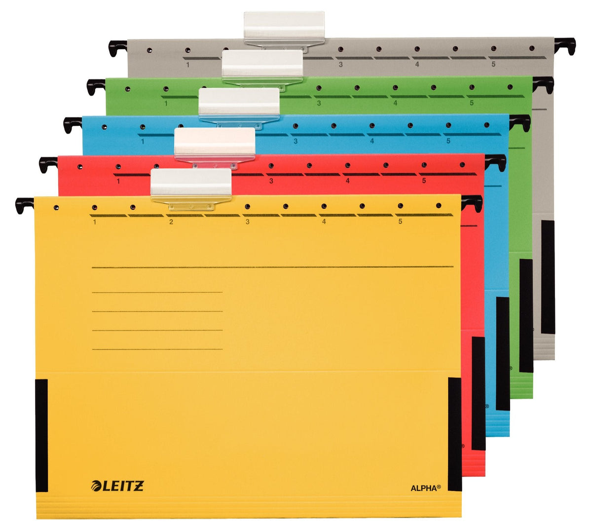 Esselte Leitz Alpha - Carpeta Colgante - V-Base - Para A4 (210 X 297 Mm)