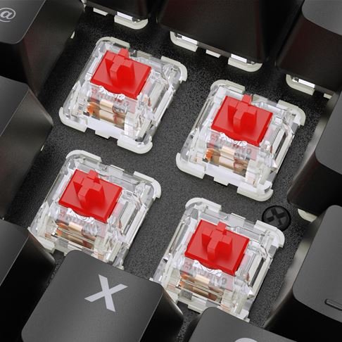 EAN 4044951040483 - Sharkoon SKILLER SGK36W teclado Juego RF inalámbrico QWERTZ imagen 3