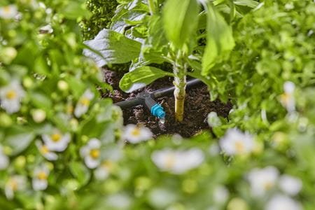 Gotero Serie Micro-Drip-System Gardena 2 L/H (Negro/Turquesa, 10 Piezas, Modelo 2023) 13317-20