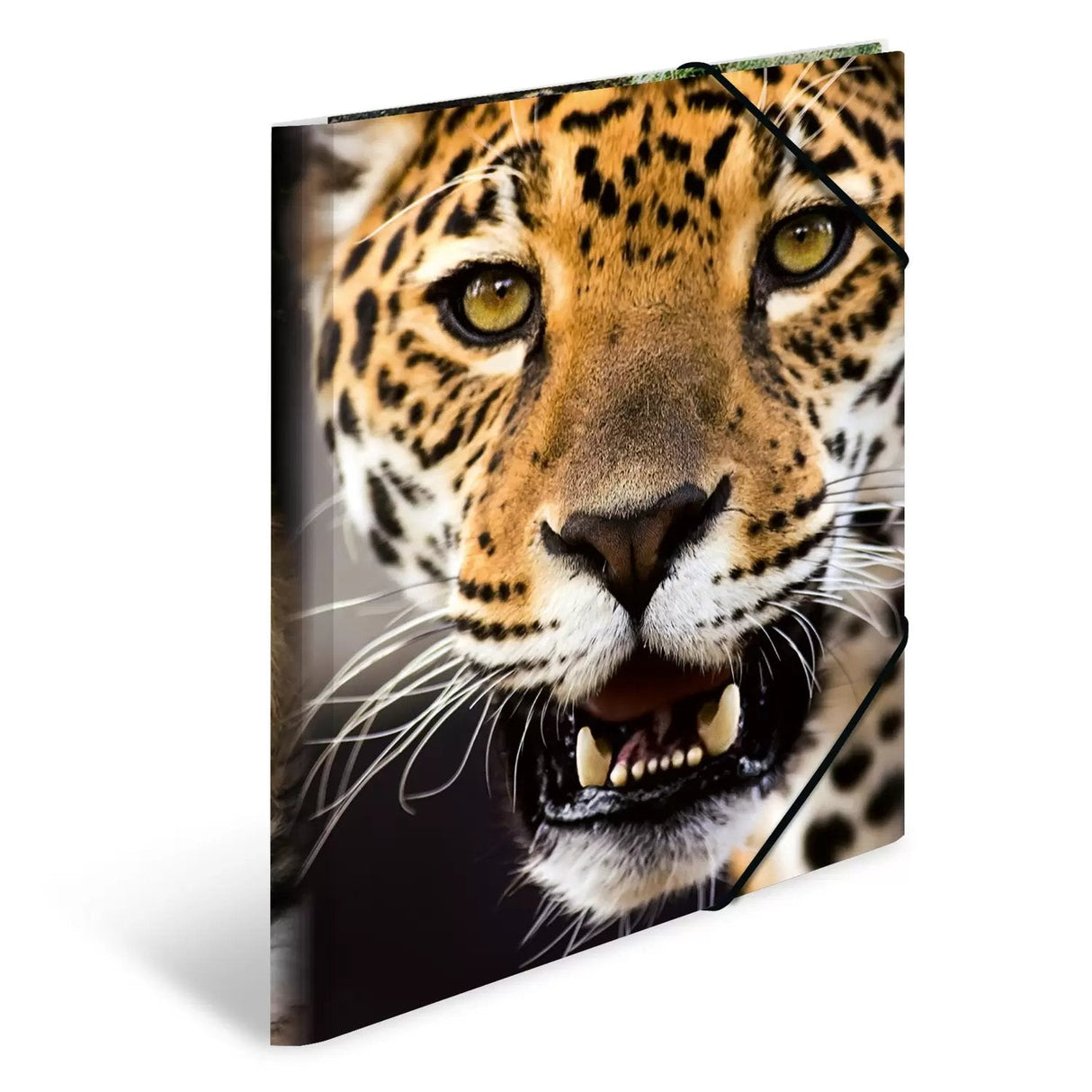 Herma Carpeta A4 Polipropileno Leopardo