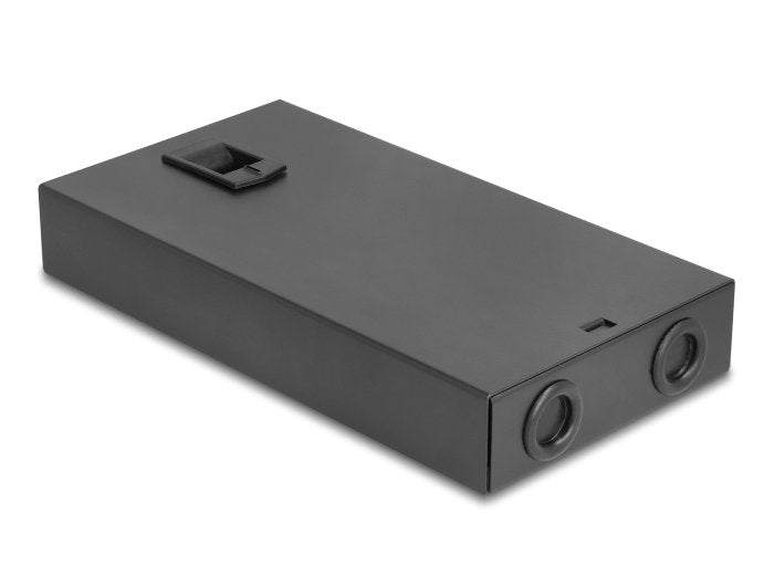 Delock 67032 Caja De Terminales De Escritorio De Fibra Óptica De 8 Puertos Para 8 X Sc Simplex