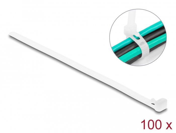 EAN 4043619186440 - DeLOCK 18644 presilla Bridas adherentes para cables Nylon 100 pieza(s) imagen 1